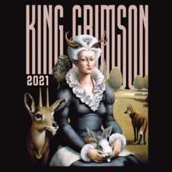 King Crimson - Music Is Our Friend: Live in Washington and Albany, 2021 (2 CD, Ed. 2021)