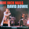 Nine Inch Nails With David Bowie - Live At Riverport Amphitheater, Maryland Heights St Louis, Monday 11th October 1995 FM Broadcast (Vinilo, 2 LP, Ed. Europe, 2022)