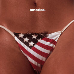 The Black Crowes - Amorica (CD)