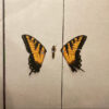 Paramore - Brand New Eyes (Vinilo, Ed. USA, Canada & Europe, 2015) 3 Paramore Brand New Eyes LP Album