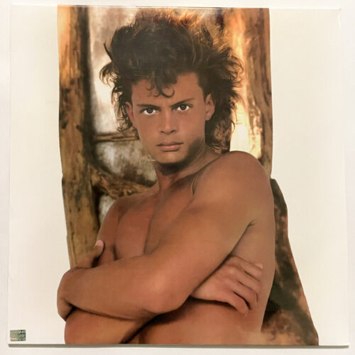 Luis Miguel - Busca Una Mujer (Ed. Argentina, 2024)