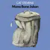 Cat Stevens - Mona Bone Jakon (Vinilo, Ed. US, 2025)