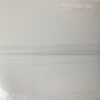 Foo Fighters But Here We Are LP Album