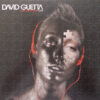 David Guetta Just A Little More Love LP Album