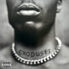 DMX Exodus LP Album