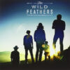 The Wild Feathers - Got It Wrong/Marie (Vinilo, Ed. Europe, 2014)