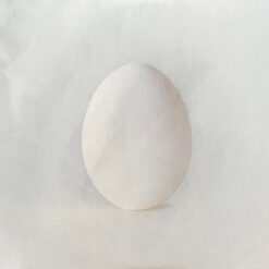 Wilco - A Ghost Is Born (CD, Ed. 2025)