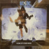 AC/DC - Blow Up Your Video (CD) 3 ACDC Blow Up Your Video CD Album