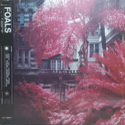 Foals - Everything Not Saved Will Be Lost: Part 1 (Vinilo, Ed. Europe, 2019)