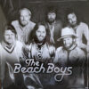 The Beach Boys - The Beach Boys (Vinilo, Ed. Chile, 2023)