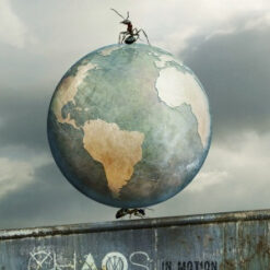 Dream Theater - Chaos In Motion (2 DVD)