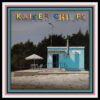 Kaiser Chiefs Duck LP Album
