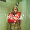 Lady Gaga - Harlequin (CD, Ed. US, 2024) 3 Lady Gaga Harlequin CD Album