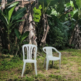 Bad Bunny - Debí Tirar Más Fotos (2 LP, Ed. US, 2026)