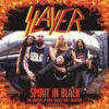 Slayer Spirit In Black LP Album