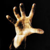System Of A Down System Of A Down LP Album