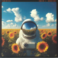Tears For Fears - Songs For A Nervous Planet (Vinilo, 2 LP, Ed. Europe, 2024)
