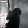 UNKLE Ronin II LP Album