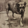 Alice In Chains Alice In Chains LP Album