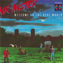 Mr. Mister - Welcome To The Real World (CD, Ed. US, 1986)