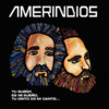 Amerindios - "Tu Sueño Es Mi Sueño, Tu Grito Es Mi Canto" (Vinilo, Ed. Chile, 2023) 3 NTAtOTk4My5qcGVn
