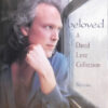 David Lanz - Beloved - A David Lanz Collection (CD, Ed. US, 1995) 2 MzMtODM3OC5qcGVn